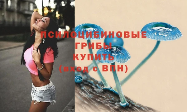 герыч Богородск