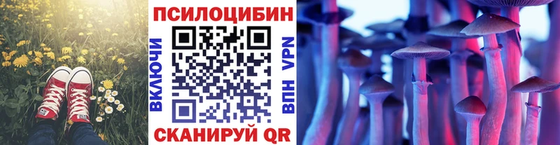 Купить  Коряжма  Галлюциногенные грибы Cubensis 